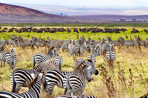 Safari della migrazione di 2 giorni con avventura in mongolfiera.