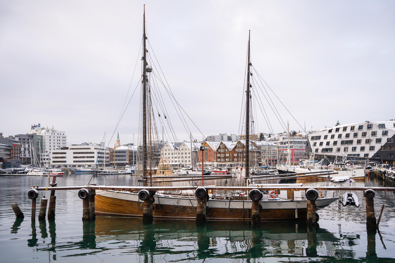 Tromsø : visite en anglais de la vieille ville et du musée polaire