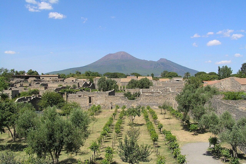 Pompeya con cata de vinos Tour privado