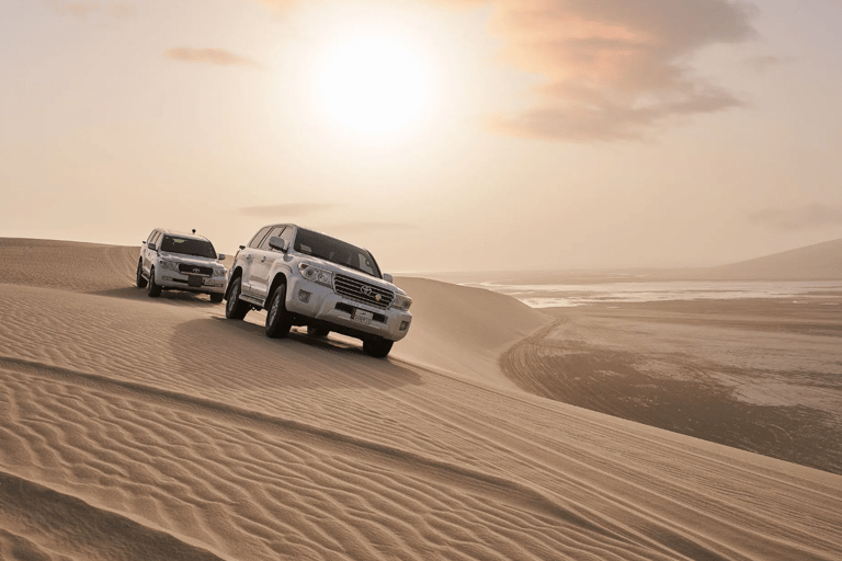 Desert Safari Qatar Camel Sandbording sunrise/sunset tour
