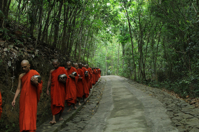 8-Day Sri Lanka Private Tour with Hotels, Train Ride &Safari
