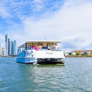 Surfers Paradise: 2-Hour Gold Coast Sightseeing Cruise