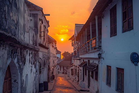 桑给巴尔：本地导游带领的石头城徒步导览。桑给巴尔：本地导游带你徒步导览石头城