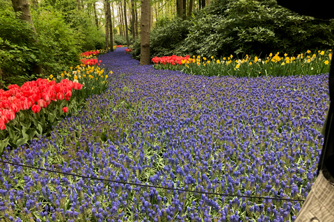 Keukenhof, fazenda de tulipas, campos de flores e Delft Blue