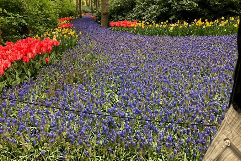 Keukenhof, fazenda de tulipas, campos de flores e Delft Blue