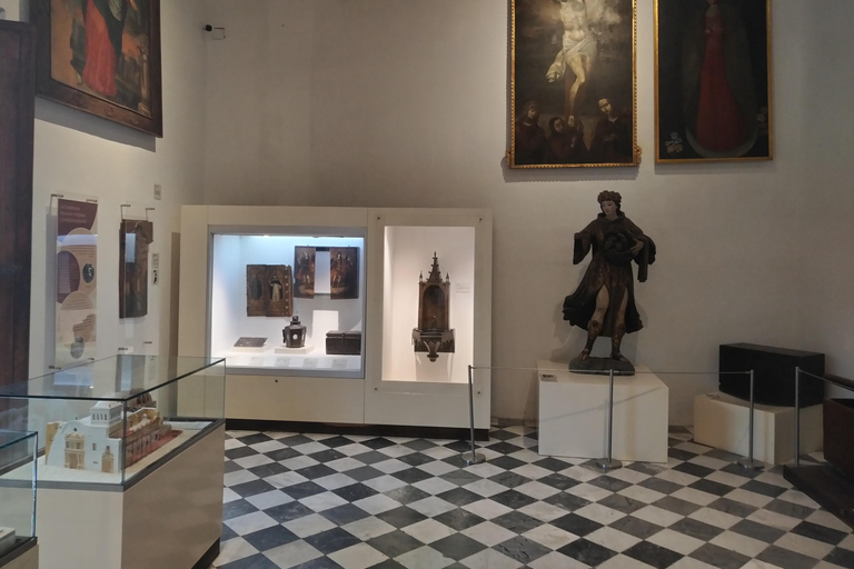 Schätze von Cartagena: Museumsexpedition