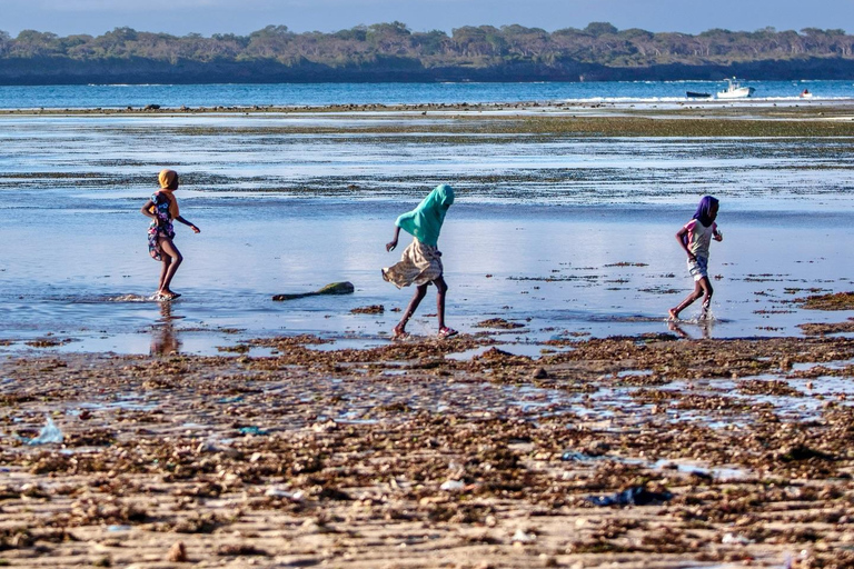 Diani: Wasini Insel, Schnorcheln &amp; Shimoni Sklavenhöhlen Tour