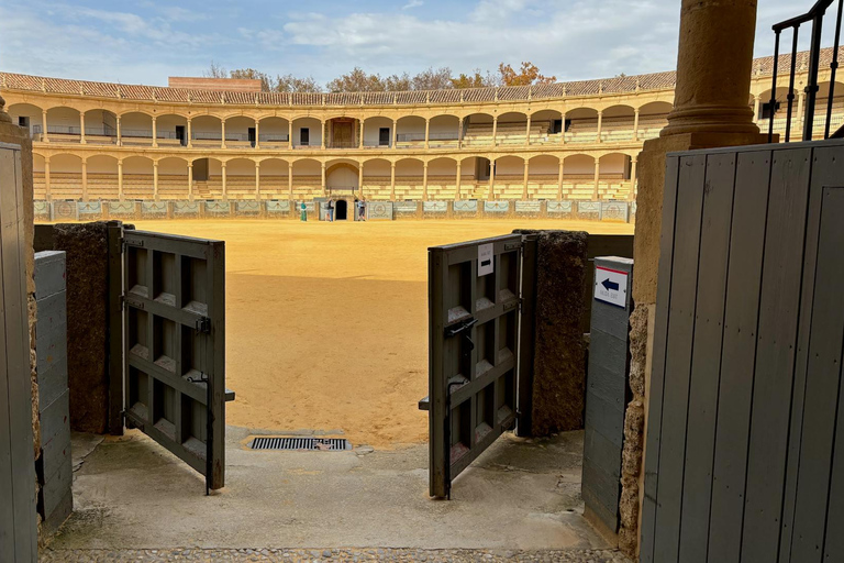 Malaga: Ronda and Setenil de las Bodegas Day Trip