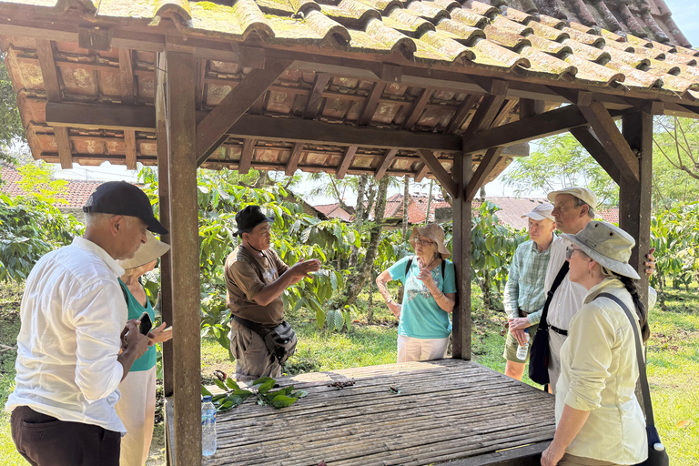 Jakarta: Java to Bali Train Tour with Hotels