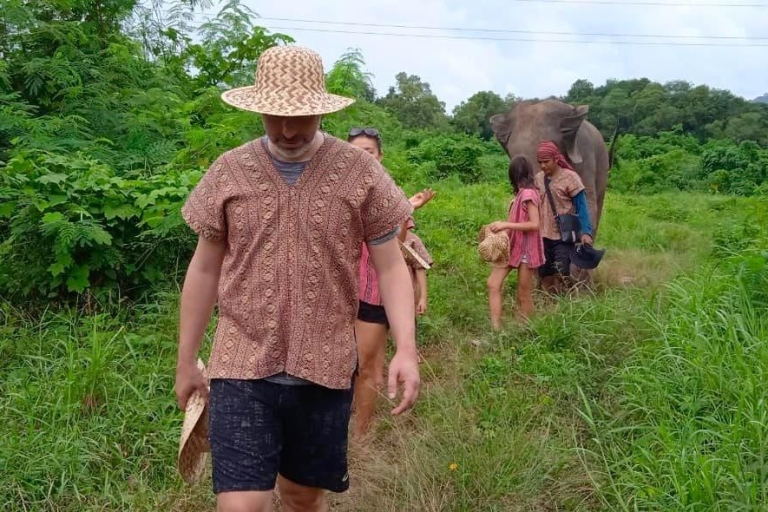 Phuket: Excursión interactiva de un día completo a pie con elefantes éticos