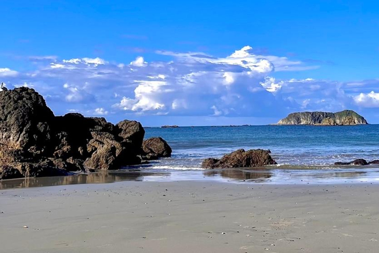 Percussive Massage Therapy + Assisted Stretching on beach