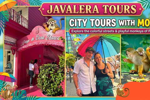 Puerto Plata: Monkey Jungle & City Tour Experience