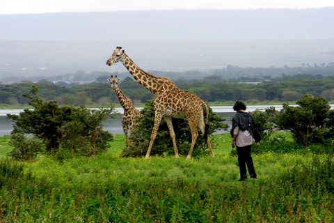 Wild Encounters: Hell's Gate National Park Adventure