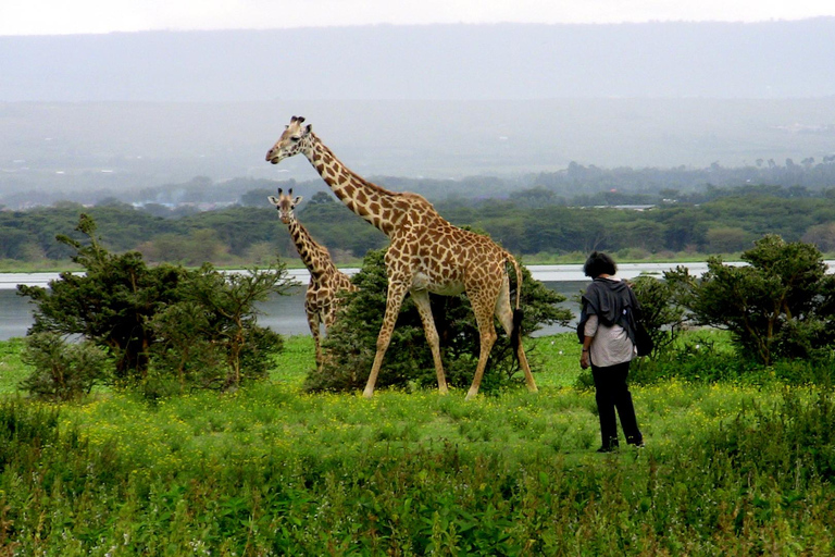 Wild Encounters: Hell&#039;s Gate National Park Adventure