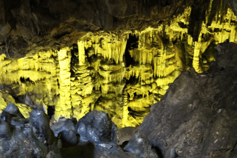 North Kyushu Tour: Akiyoshido Cave & Motonosumi Inari Shrine North Kyushu Tour: Akiyoshido Cave, Motonosumi Inari Shrrine