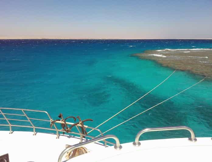 El Gouna Rondvaart Dolfijnen Kijken Met Snorkelen Lunch Getyourguide