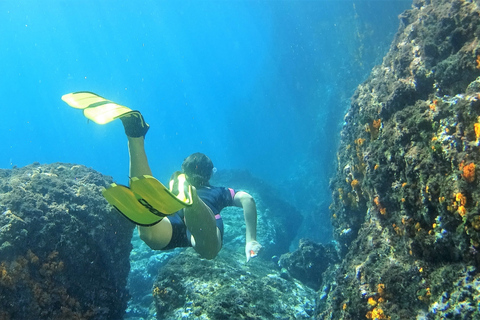 La Herradura: Cerro Gordo Natural Park Kayak & Snorkel Tour