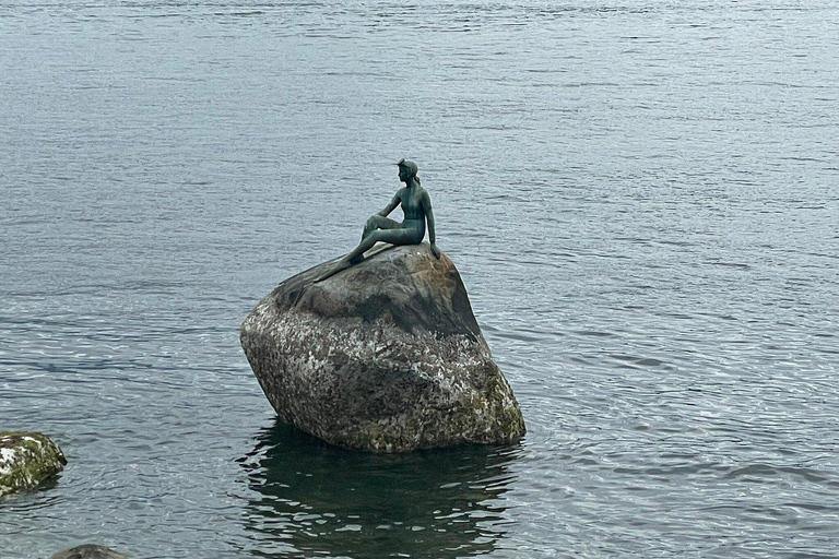 多伦多探索区亮点之旅 | 2小时多伦多发现区亮点游 | 2小时