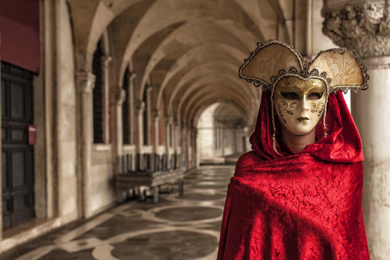 From Ljubljana: Venice Day Trip with Walking Tour