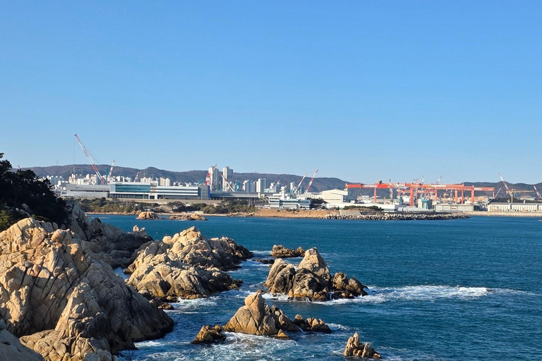 Ulsan: Bangudae Petroglyphs, Onggi Village & Park Tour