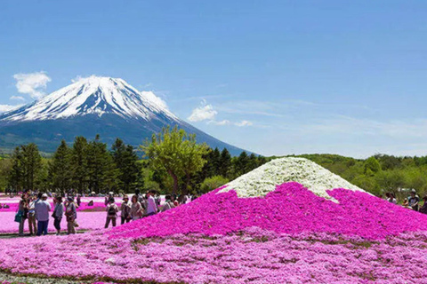 Tokyo: Mt Fuji Full-Day Private Tour of Top Best Places