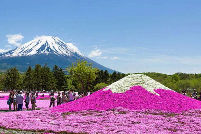 Tokyo: Mt Fuji Full-Day Private Tour of Top Best Places