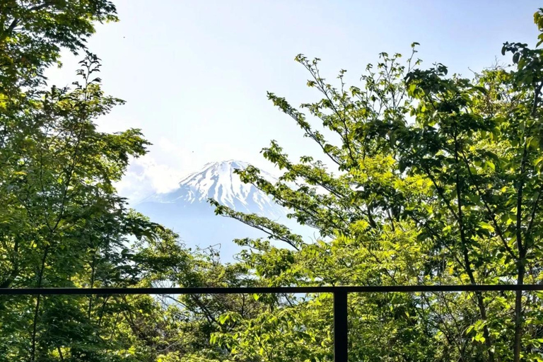 Tokyo:Mt. Fuji 5th Station & Onsen Day Trip | Summer Special 08:30 | Meet at Shinjuku West Exit, SMBC