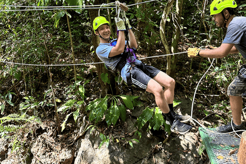 Manuel Antonio: Zipline Canopy Tour with Butterfly Garden