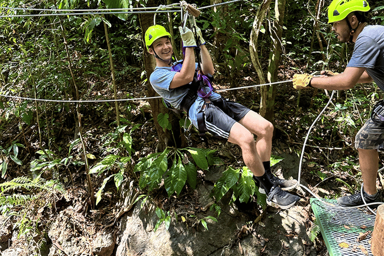 Manuel Antonio: Zipline Canopy Tour with Butterfly Garden