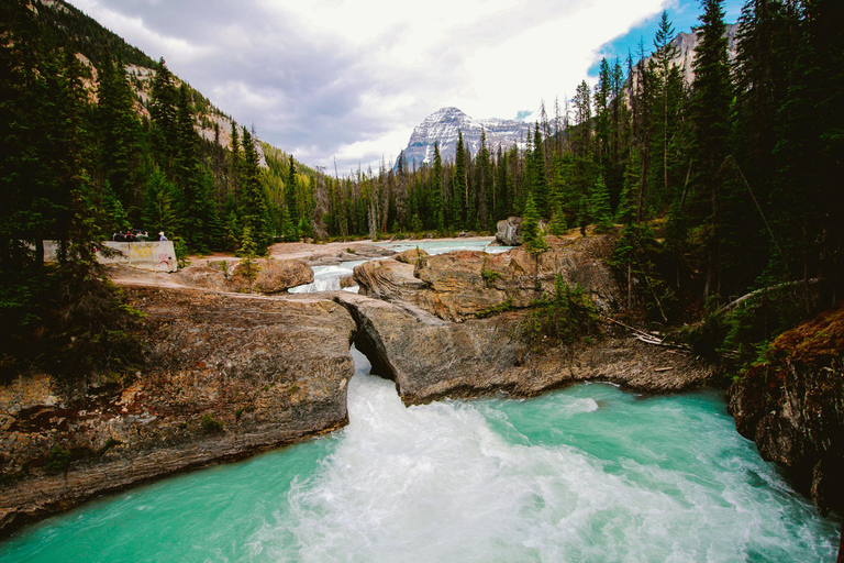 Calgary: Emerald Lake & Takakkaw Falls Small Group Tour