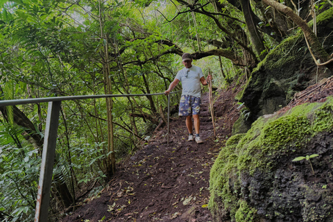 Waterfalls, Hanging Bridge, and Sloths in Fortuna de Bagaces, Guanacaste. Explore Miravalles: Waterfalls, Suspension Bridge, and Sloths