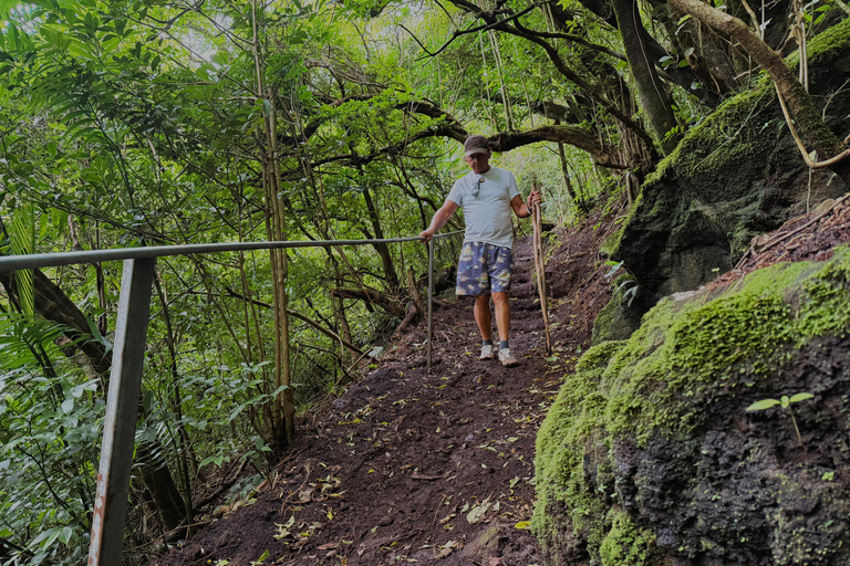 Waterfalls, Hanging Bridge, and Sloths in Fortuna de Bagaces, Guanacaste. Explore Miravalles: Waterfalls, Suspension Bridge, and Sloths