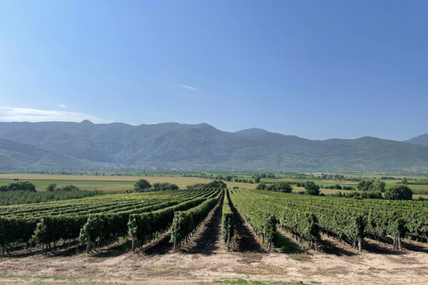 From Sofia: Krichim Palace and Wine Tasting Day Tour