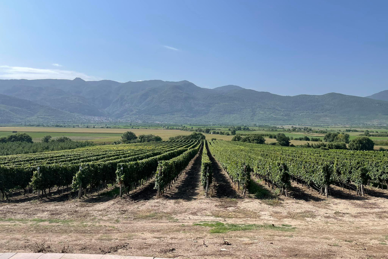 From Sofia: Krichim Palace and Wine Tasting Day Tour