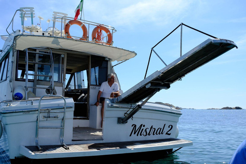Santa Teresa: Speedboottocht rond Lavezzi en Piana-eiland