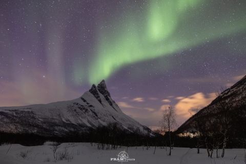 Tromso: Nordlicht-Jagd & Fotografie-Expedition