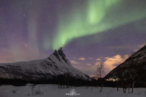 Tromsø: expeditie op jacht naar noorderlicht en fotografie