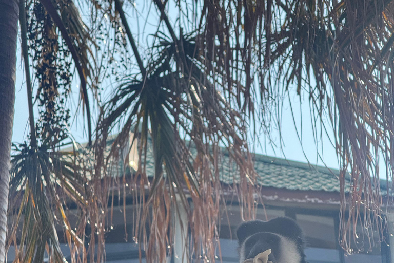 Addis Abeba: 21-dniowa wycieczka do Doliny Omo