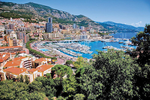 Von Nizza: Halbtagsausflug nach Monaco, Monte-Carlo und Eze