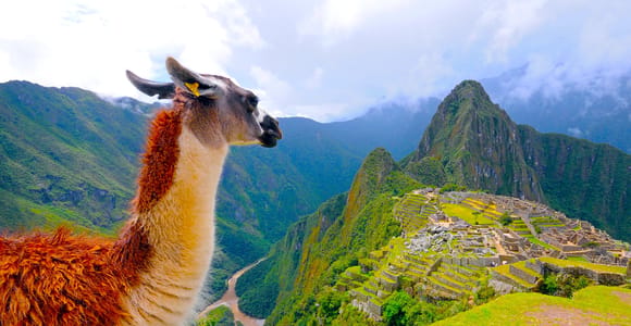 Machu Picchu: Official Entrance Ticket for Circuit 2