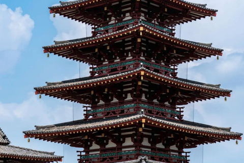 Osaka: Shore Excursion for Cruise Guests（Group） A. Osaka City Itinerary-Small Group(max 9 person)
