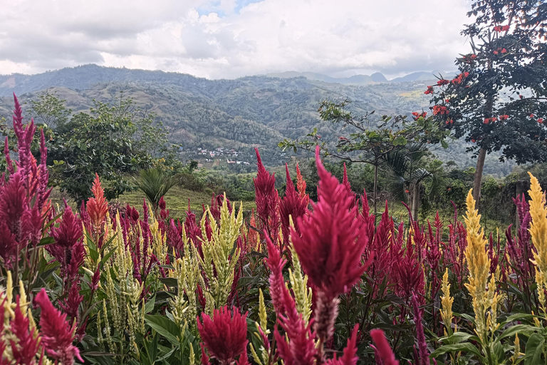 Cidade de Cebu: Patrimônio de Cebu e excursão de subida em duas rodas