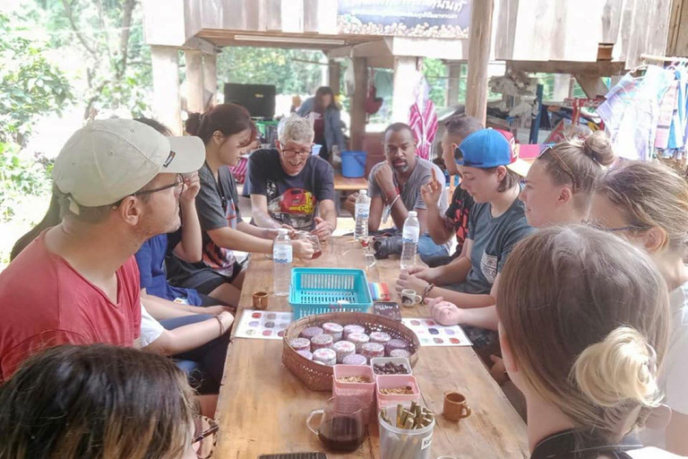 Chiang Mai: Parco Doi Inthanon, cascate e tour delle tribù delle collineIl tour economico non include il pranzo e i biglietti.