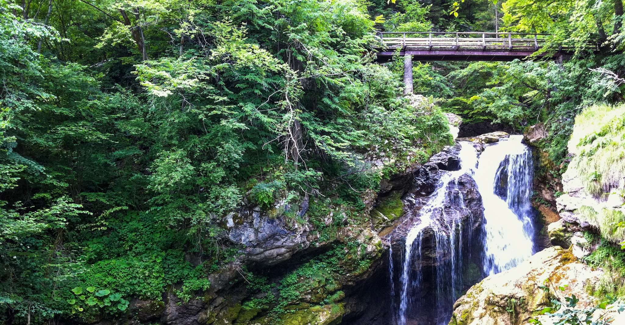 From Bled, Self-Guided E-Bike Tour to Vintgar Gorge - Housity