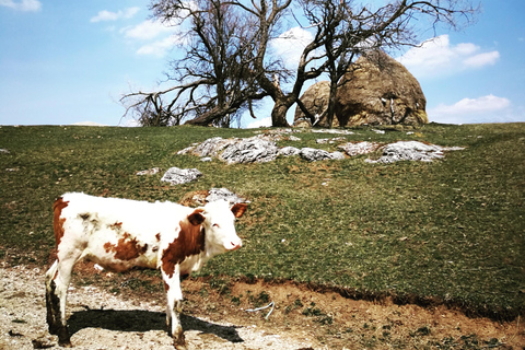 Western Serbia 4 days tour: Uvac canyon, Tara NP & Zlatibor