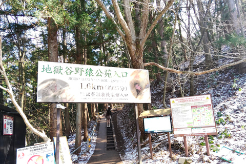 Nagano: Snow Monkeys, Obuse, & Hot Spring Foot Bath Tour
