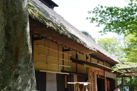 Hakone Geology & History Tour
