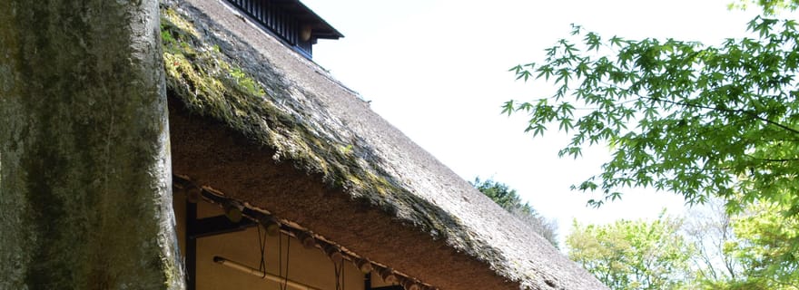 Excursion géologique et historique à Hakone