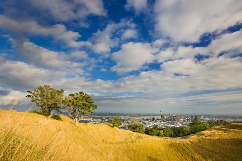 Tour de Lujo de la Ciudad de Auckland y la Costa Oeste