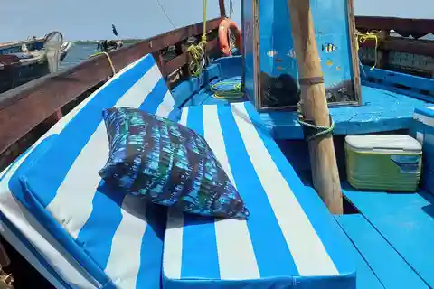 From Mombasa: Kisite Mpunguti Marine Park and Wasini Island